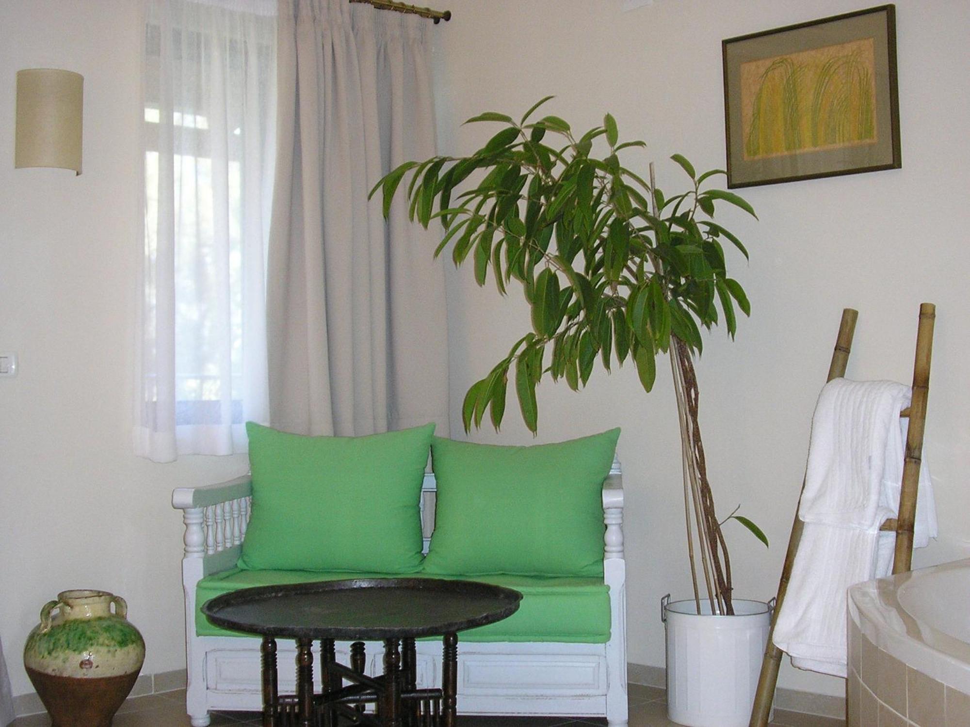 Shulamit Yard Hotel Rosh Pinna Buitenkant foto