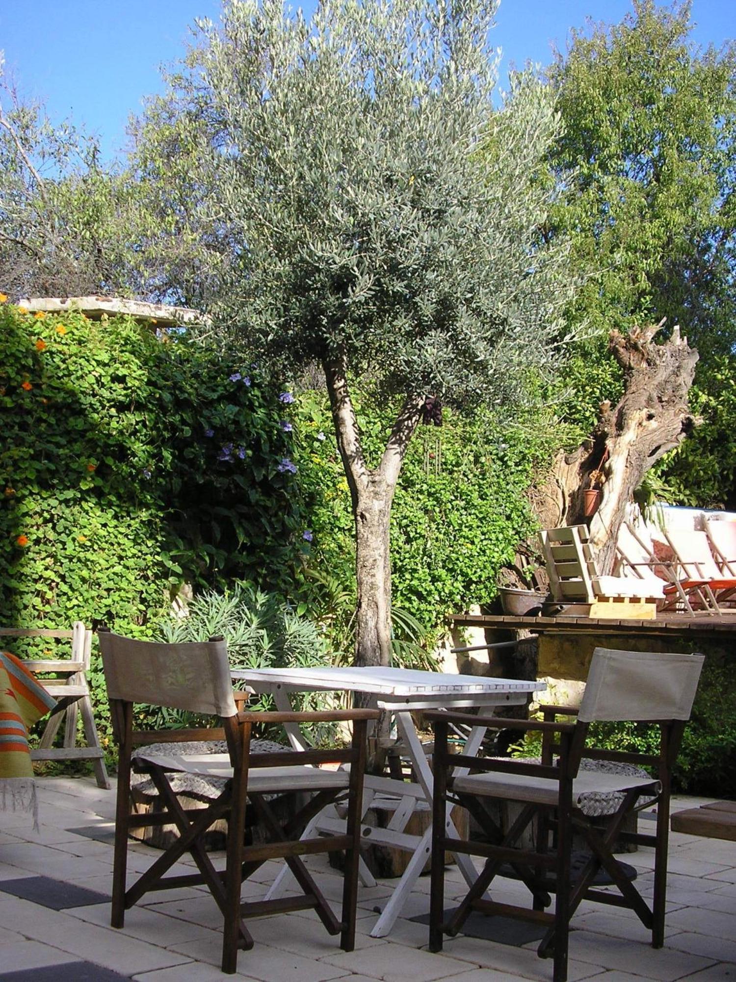 Shulamit Yard Hotel Rosh Pinna Buitenkant foto