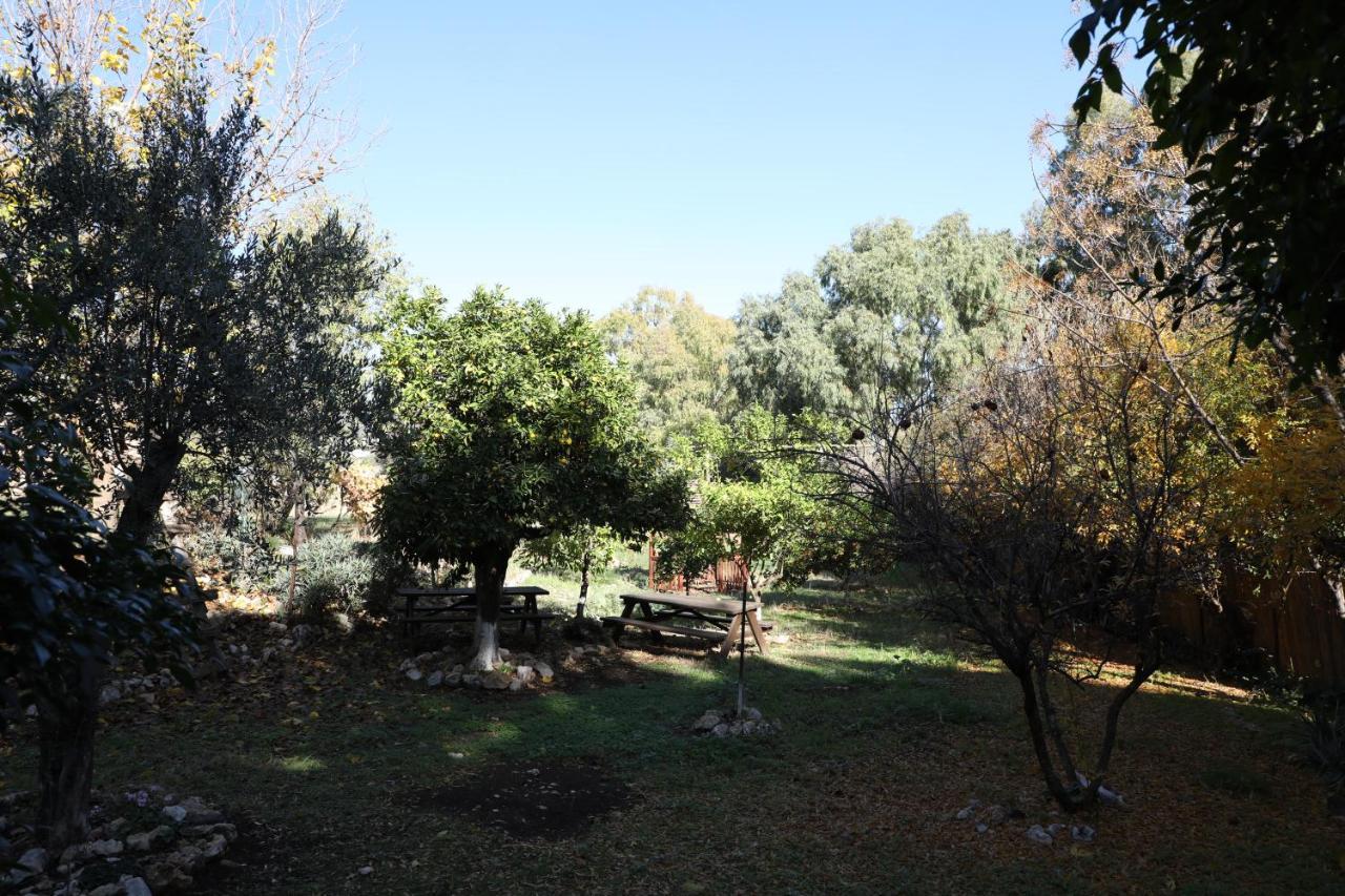 Shulamit Yard Hotel Rosh Pinna Buitenkant foto